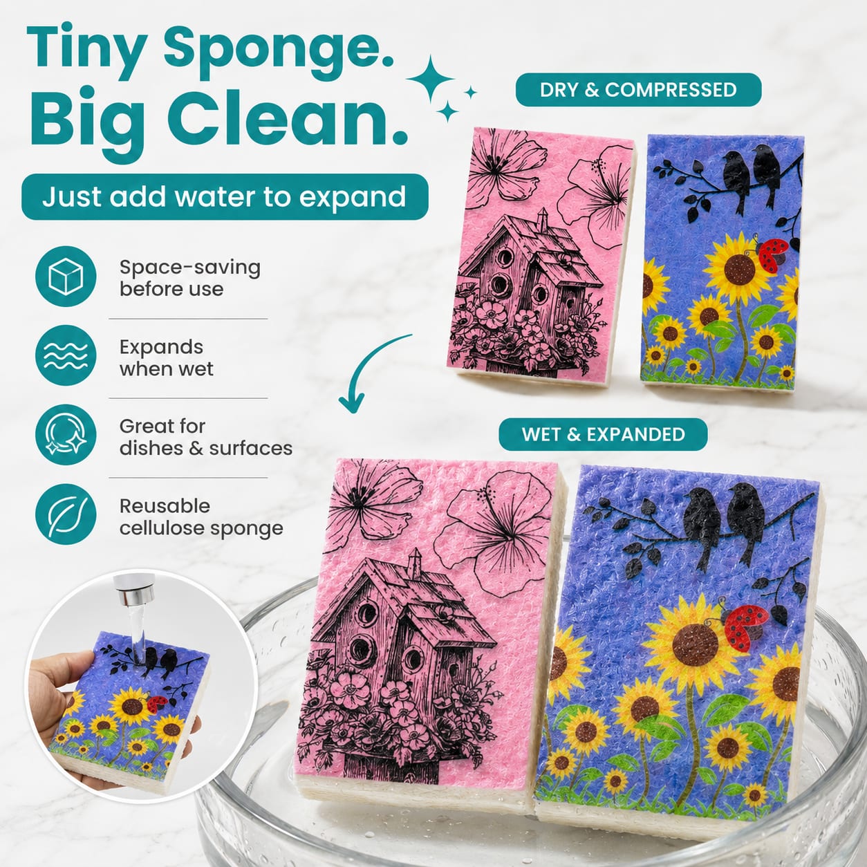 Compressed sponges